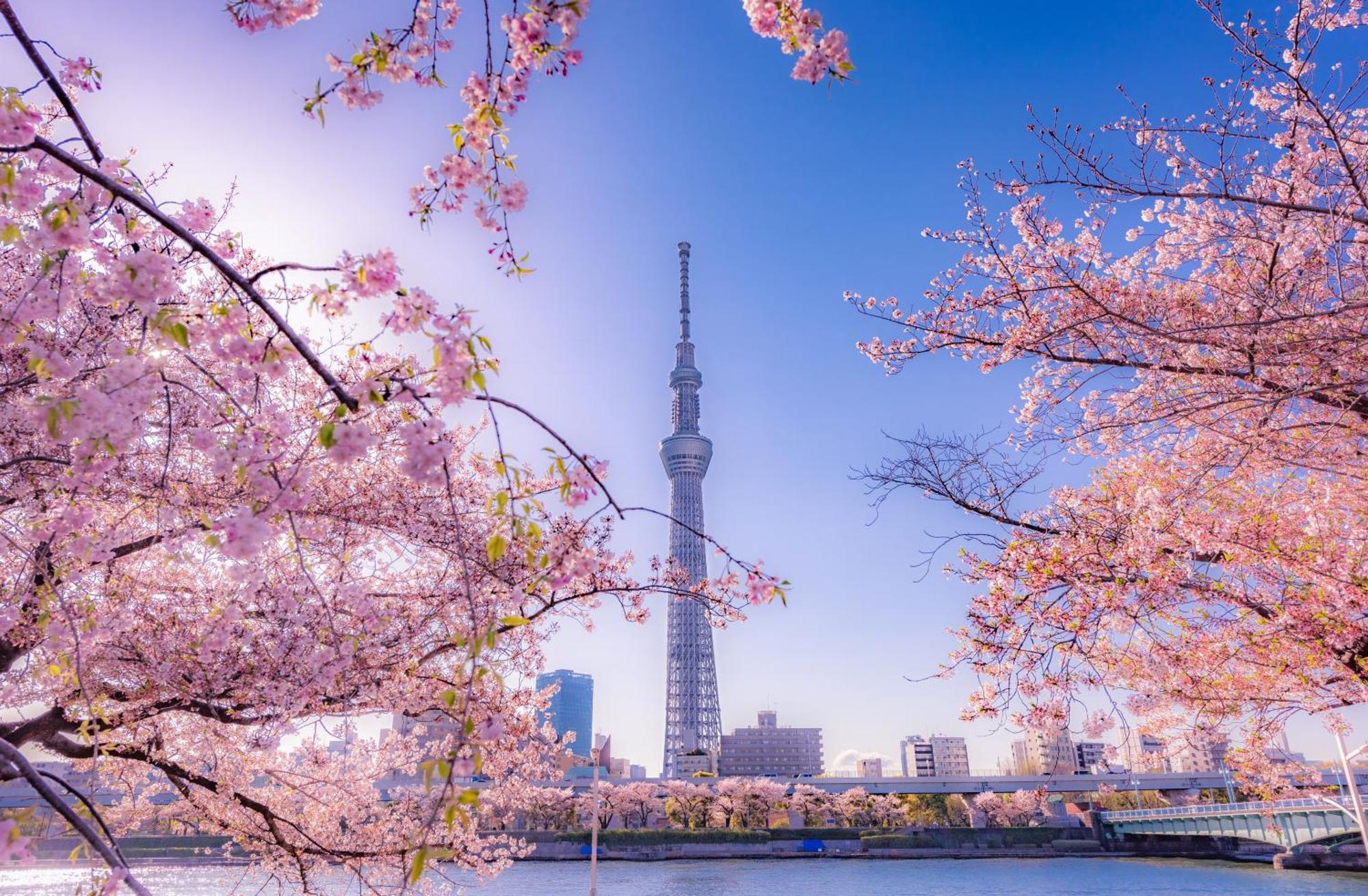 Hotel The Westin Tokio Zewnętrze zdjęcie